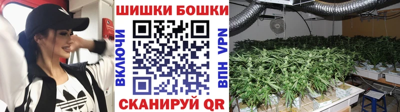 Где купить Котельники Псилоцибиновые грибы  КОКАИН  hydra как войти  Меф мяу мяу  ТГК  ГАШИШ  СК 