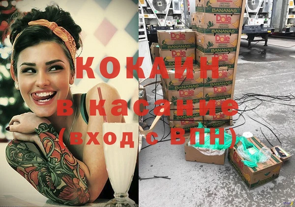 ПСИЛОЦИБИНОВЫЕ ГРИБЫ Нея