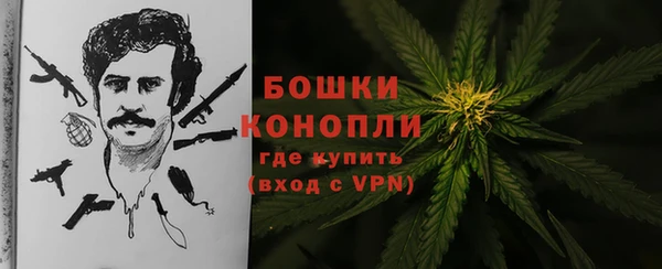 прущие грибы Сафоново