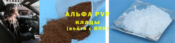 стаф Нефтегорск