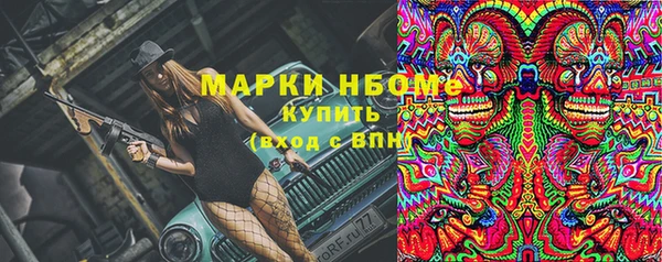 стаф Нефтегорск