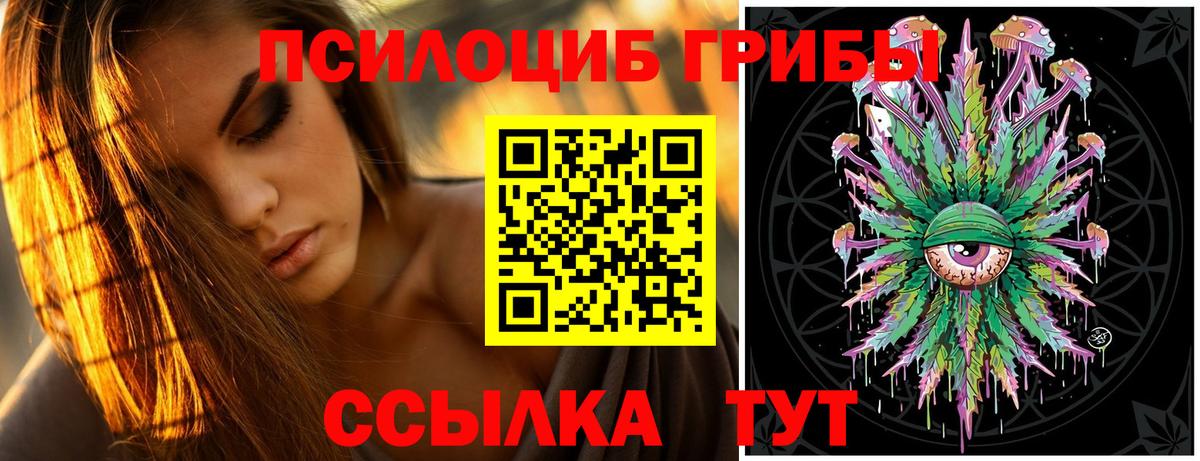 Галлюциногенные грибы GOLDEN TEACHER  Котельники  Галлюциногенные грибы мухоморы 