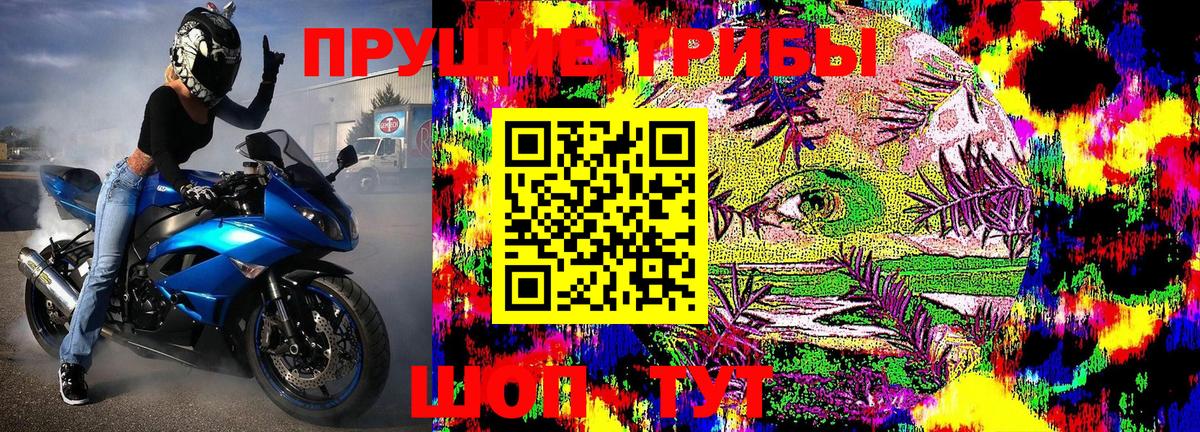 Котельники  где купить наркотик  Галлюциногенные грибы Magic Shrooms  Вход с VPN  Псилоцибиновые грибы Cubensis 