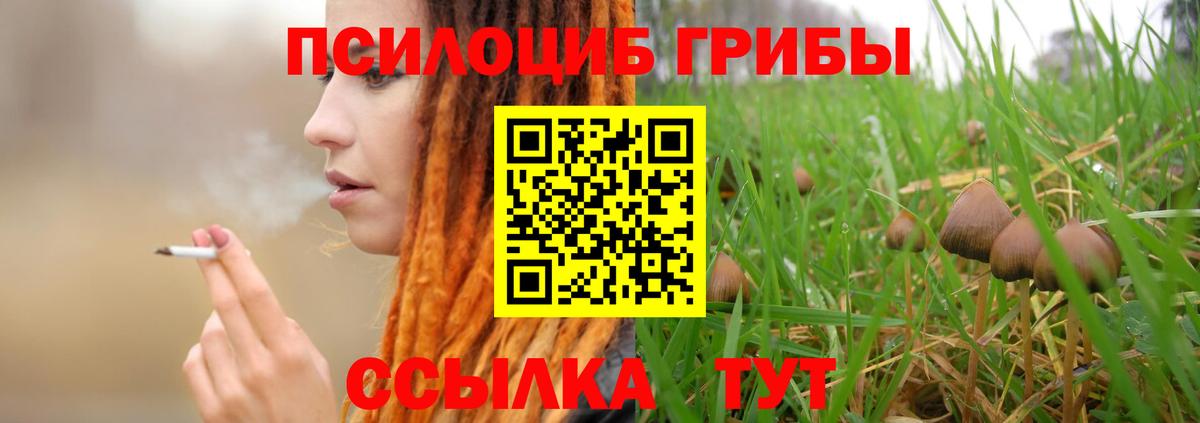 Галлюциногенные грибы Magic Shrooms Котельники